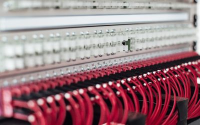 Choosing Between Dedicated and Virtual Private Servers