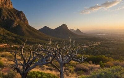 Discover the Top Options for the Best Domain Registration South Africa