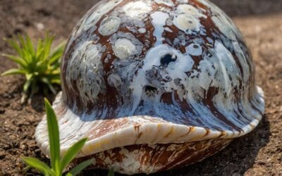 25 Essential Linux Shell Tips to Improve Your Command Line Skills